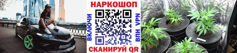 Виды наркоты Канаш Вейп ТГК Cocaine Меф Амфетамин hydra ТОР Конопля APVP ГАШИШ