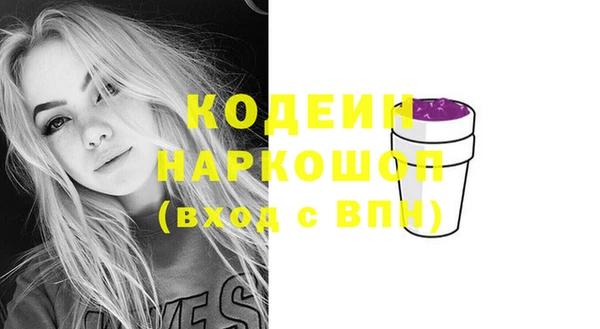 прущие грибы Инсар