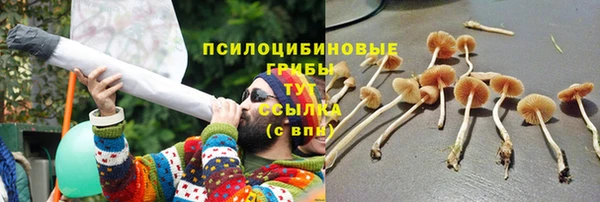 скорость Володарск