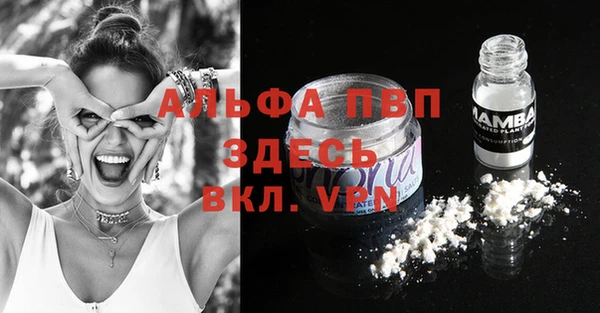 бошки Туринск