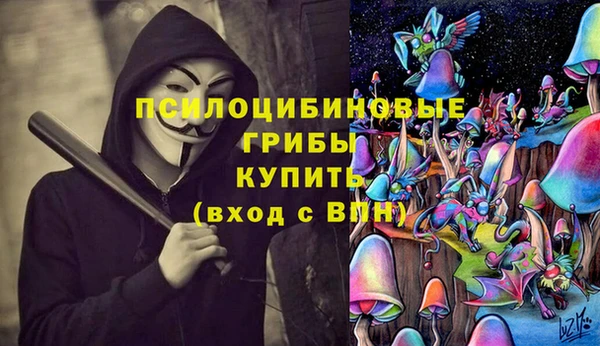 амф Инта
